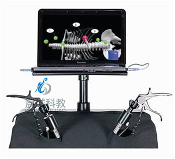 CY/M-750 内窥镜微创手术仿真训练系统