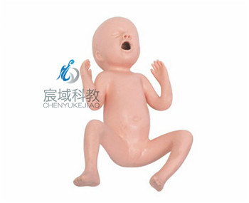 CY-FT331A 高级24周早产儿模型