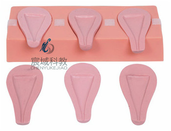 CY-FT33A 高级人工流产模拟子宫
