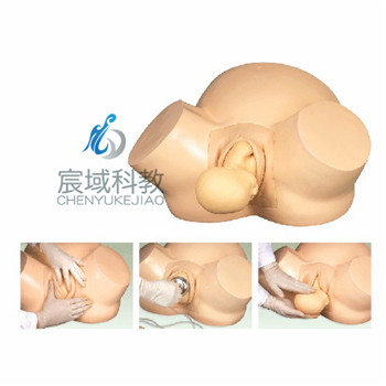 CY-F8 高级助产训练模型