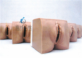 CY-9A 高级产前宫颈变化与产道关系模型