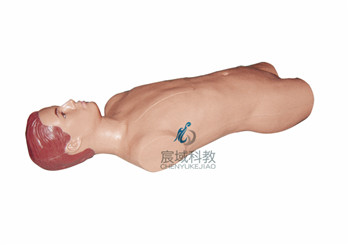 CY-FGC 腹腔与骨髓穿刺模型