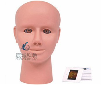CY-LV14 高级眼内视网膜病变检查模型