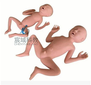 CY-FT331B 高级30周早产儿模型