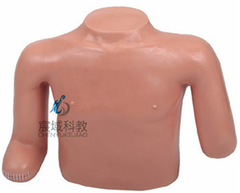 CY-LV13 高级高位包扎模型