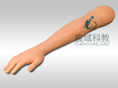 CY-ZJS 针灸训练手臂模型