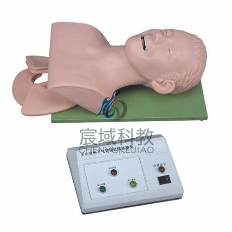 气管插管模型