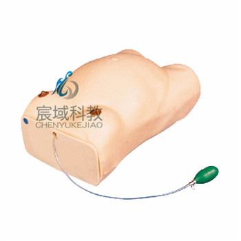 CY-FW1 高级孕妇检查模型