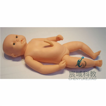 CY-FT2 高级出生婴儿附脐带模型