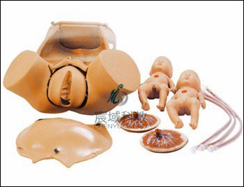 CY-F20 高级分娩综合技能训练模型