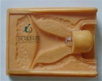 上环训练模型
