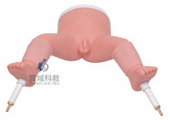 CY-L65B 高级婴儿骨髓穿刺模型