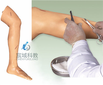 CY-LV2 高级外科缝合腿肢模型