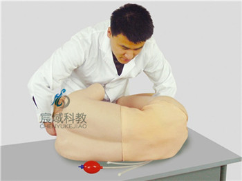 CY-CK811 成人腰椎穿刺训练模拟人