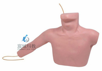 CY-L69C  外周穿刺、中心静脉穿刺插管训练模型