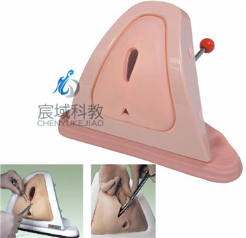 CY-F3A 高级会阴切开缝合技能训练模型