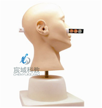 CY-LV41 高级耳诊断模型