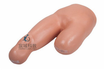 CY-LV12 高级低位包扎模型