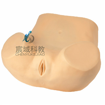 CY-F51 阴道后穹窿穿刺模型