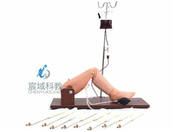 CY-L65A 骨穿刺及股静脉模型