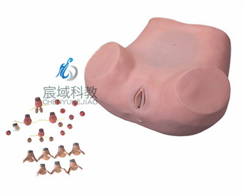 CY-F35 高级妇科综合检查训练模型