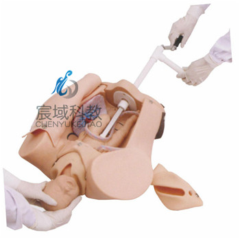 CY-F53 高级手摇分娩机制示教模型