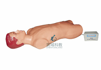 CY-GDCII 股动脉自动搏动穿刺模拟人