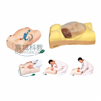 CY-FW2 高级电脑孕妇检查模型