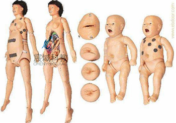 CY-F56 高智能数字化妇产科技能训练系统(计算机控制)