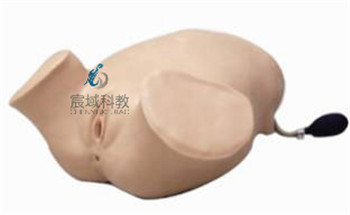 CY-FW3 四部触诊、肛查、阴道检查训练模型