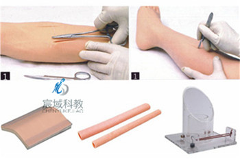 CY-LV10 外科综合技能训练组合模型