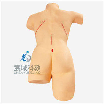 CY-LV18 外科缝合包扎展示模型