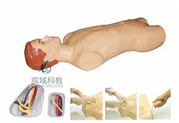 CY-L69A 中心静脉穿刺注射躯干模型