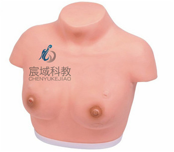 CY-F7B 高级乳腺视诊与触诊模型