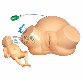 CY-F4 高级难产示教训练模型