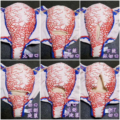 1679367706935981.jpg 20230213221452.jpg