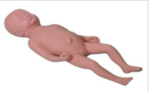 新生儿沐浴模型