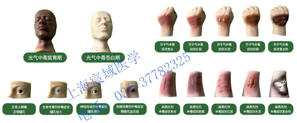 人员中毒仿真模型